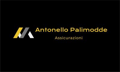 ANTONELLO PALIMODDE ASSICURAZIONI